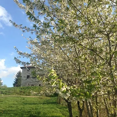 La Commenda-adults Only Farm stay *